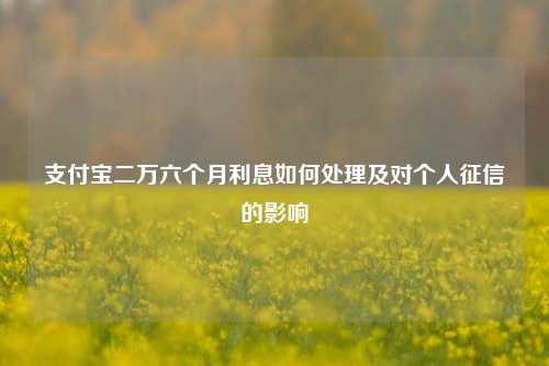 支付宝二万六个月利息如何处理及对个人征信的影响