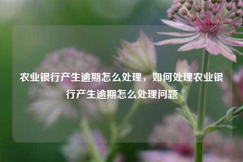 农业银行产生逾期怎么处理，如何处理农业银行产生逾期怎么处理问题