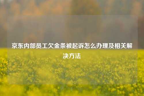 京东内部员工欠金条被起诉怎么办理及相关解决方法