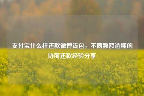 支付宝什么样还款微博钱包，不同数额逾期的协商还款经验分享