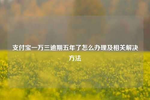 支付宝一万三逾期五年了怎么办理及相关解决方法