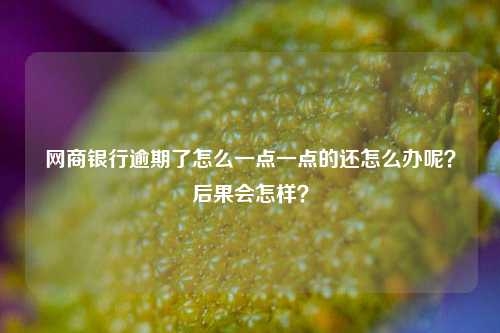 网商银行逾期了怎么一点一点的还怎么办呢？后果会怎样？