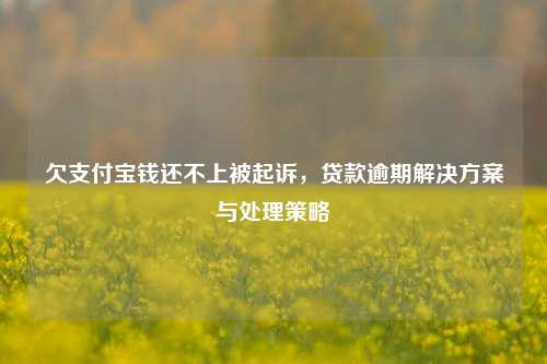 欠支付宝钱还不上被起诉，贷款逾期解决方案与处理策略