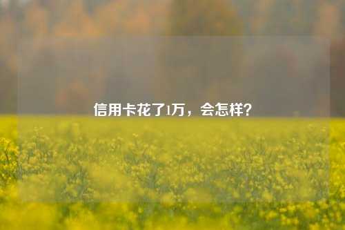 信用卡花了1万，会怎样？