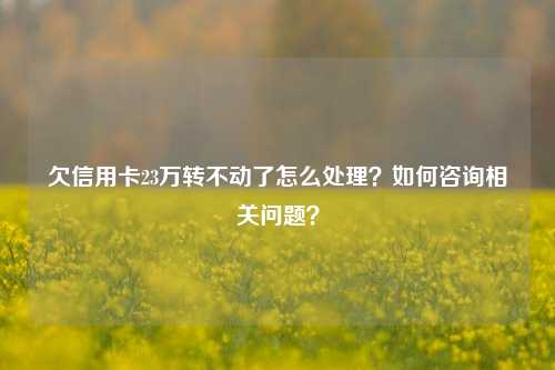 欠信用卡23万转不动了怎么处理？如何咨询相关问题？