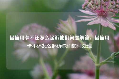 借信用卡不还怎么起诉他们问题解答，借信用卡不还怎么起诉他们如何处理