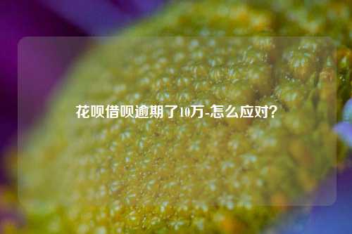 花呗借呗逾期了10万-怎么应对？