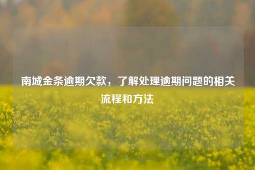 南城金条逾期欠款，了解处理逾期问题的相关流程和方法