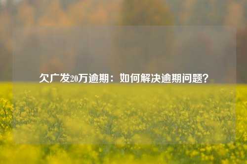 欠广发20万逾期：如何解决逾期问题？