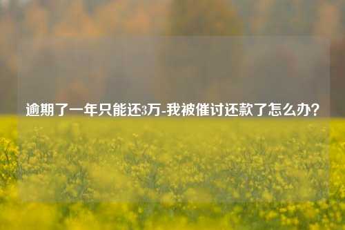 逾期了一年只能还3万-我被催讨还款了怎么办？