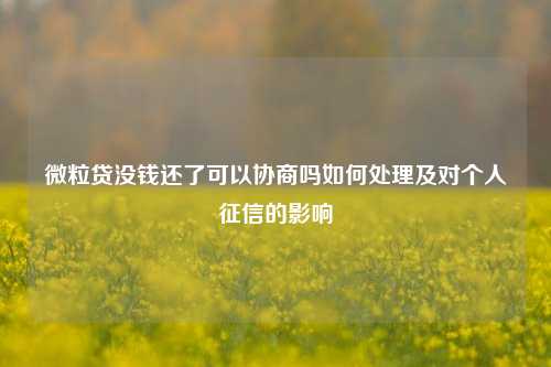 微粒贷没钱还了可以协商吗如何处理及对个人征信的影响