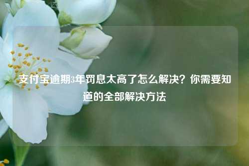 支付宝逾期3年罚息太高了怎么解决？你需要知道的全部解决方法