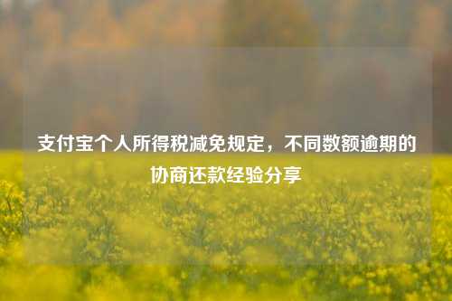 支付宝个人所得税减免规定，不同数额逾期的协商还款经验分享