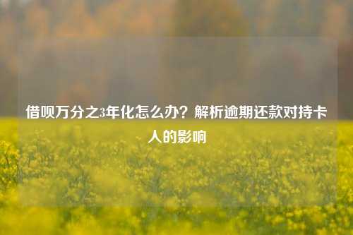 借呗万分之3年化怎么办？解析逾期还款对持卡人的影响