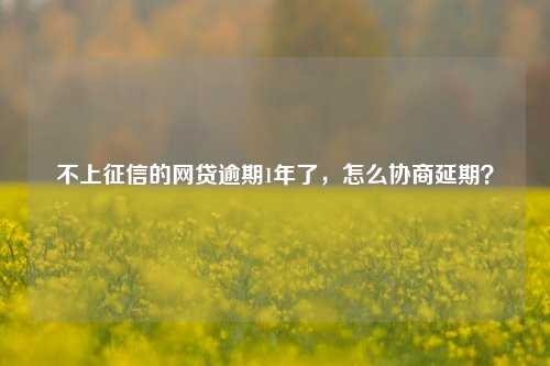 不上征信的网贷逾期1年了，怎么协商延期？