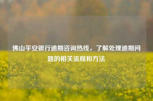 佛山平安银行逾期咨询热线，了解处理逾期问题的相关流程和方法