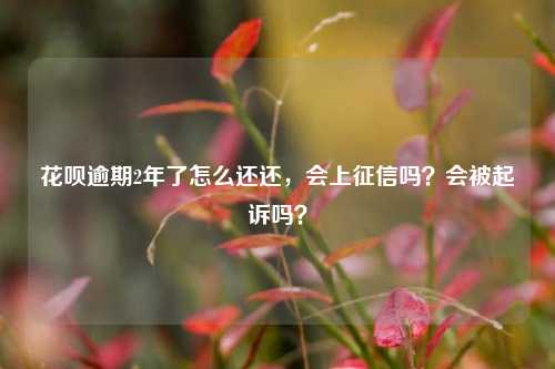 花呗逾期2年了怎么还还，会上征信吗？会被起诉吗？