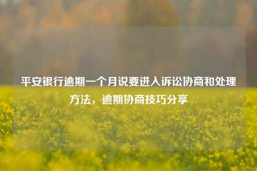 平安银行逾期一个月说要进入诉讼协商和处理方法，逾期协商技巧分享