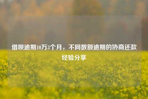 借呗逾期10万3个月，不同数额逾期的协商还款经验分享