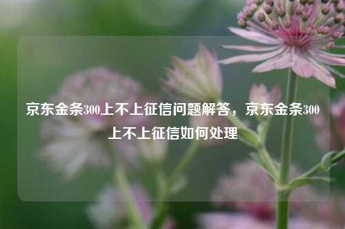 京东金条300上不上征信问题解答，京东金条300上不上征信如何处理