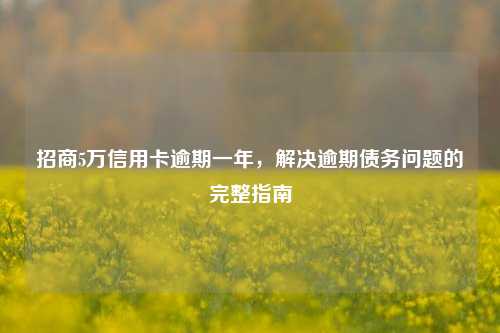 招商5万信用卡逾期一年，解决逾期债务问题的完整指南