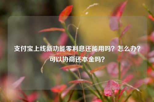 支付宝上线新功能零利息还能用吗？怎么办？可以协商还本金吗？