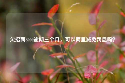 欠招商3000逾期三个月，可以商量减免罚息吗？