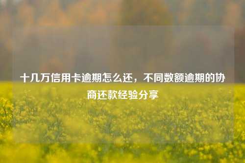 十几万信用卡逾期怎么还，不同数额逾期的协商还款经验分享