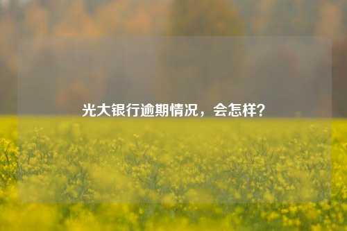 光大银行逾期情况，会怎样？