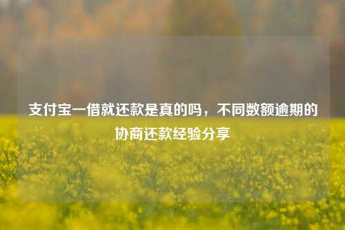 支付宝一借就还款是真的吗，不同数额逾期的协商还款经验分享