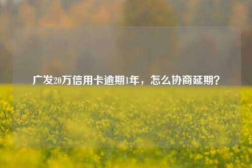 广发20万信用卡逾期1年，怎么协商延期？