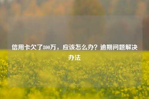 信用卡欠了800万，应该怎么办？逾期问题解决办法