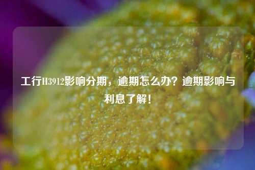 工行H3912影响分期，逾期怎么办？逾期影响与利息了解！