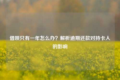 借呗只有一年怎么办？解析逾期还款对持卡人的影响