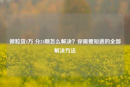 微粒贷1万 分24期怎么解决？你需要知道的全部解决方法