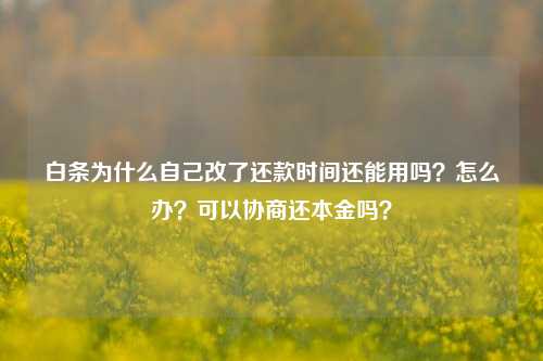 白条为什么自己改了还款时间还能用吗？怎么办？可以协商还本金吗？