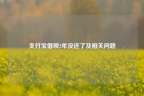 支付宝借呗2年没还了及相关问题