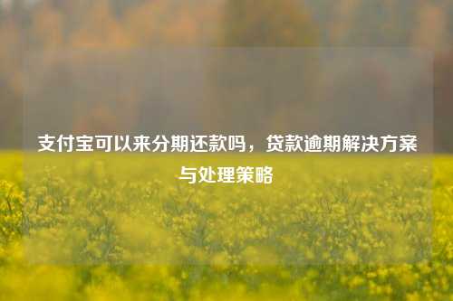 支付宝可以来分期还款吗，贷款逾期解决方案与处理策略