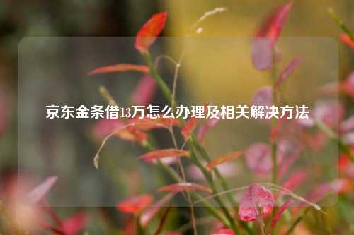 京东金条借13万怎么办理及相关解决方法