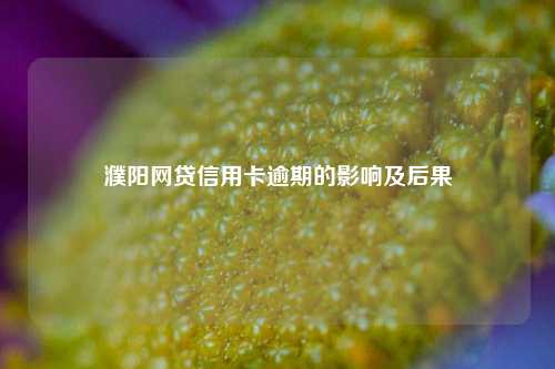 濮阳网贷信用卡逾期的影响及后果