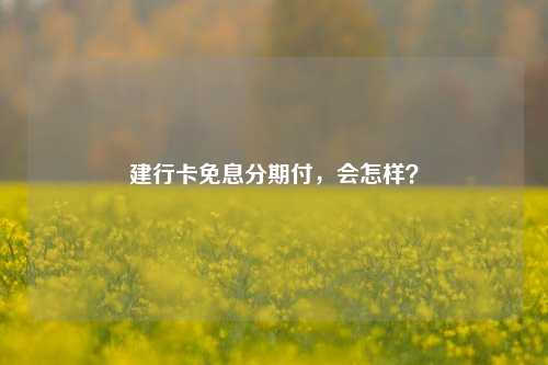 建行卡免息分期付，会怎样？