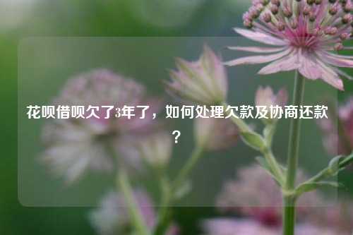 花呗借呗欠了3年了，如何处理欠款及协商还款？