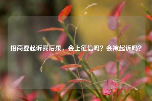 招商要起诉我后果，会上征信吗？会被起诉吗？