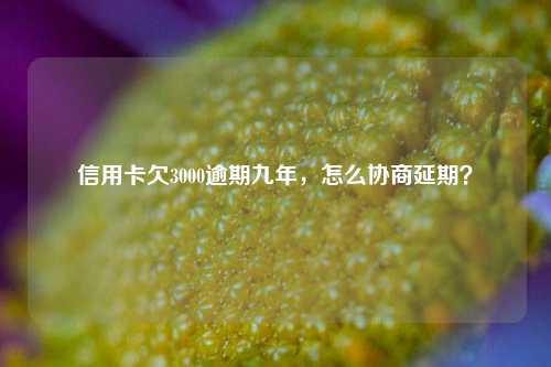 信用卡欠3000逾期九年，怎么协商延期？