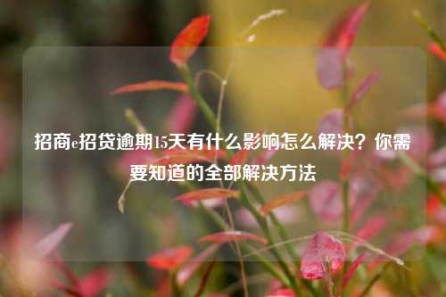 招商e招贷逾期15天有什么影响怎么解决？你需要知道的全部解决方法