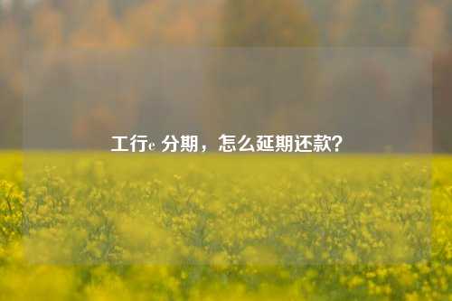 工行e 分期，怎么延期还款？