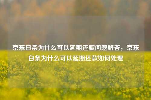 京东白条为什么可以延期还款问题解答，京东白条为什么可以延期还款如何处理