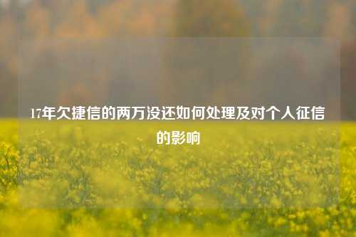 17年欠捷信的两万没还如何处理及对个人征信的影响