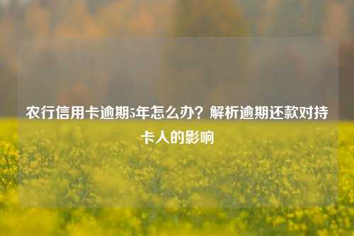 农行信用卡逾期5年怎么办？解析逾期还款对持卡人的影响