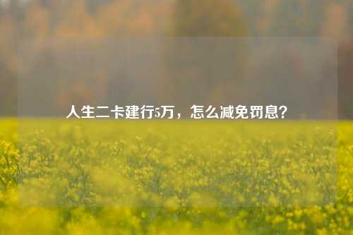 人生二卡建行5万，怎么减免罚息？